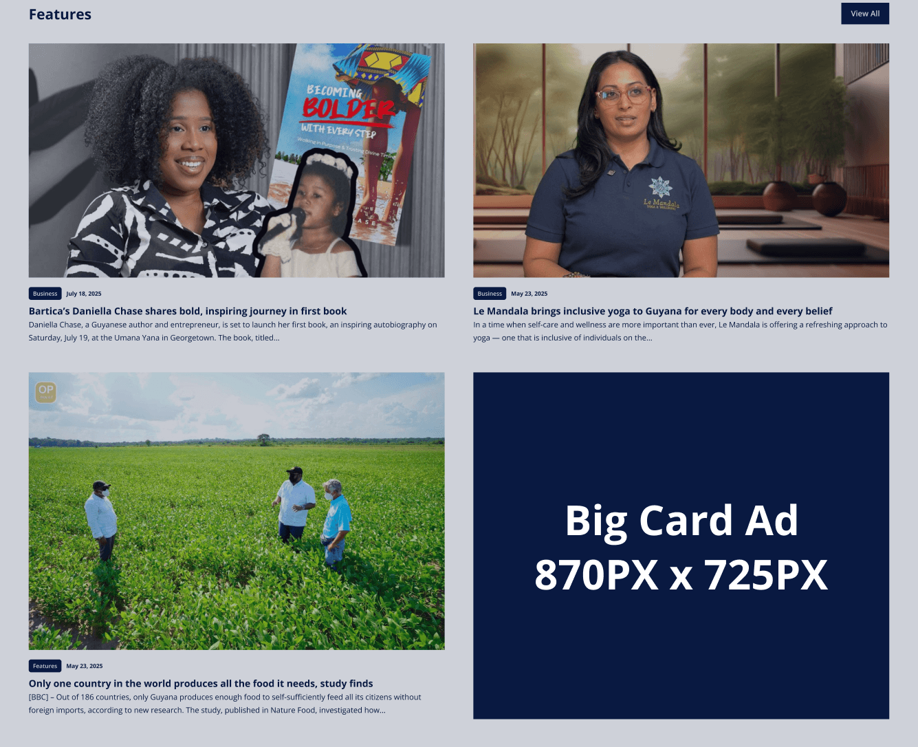 Home Page - Big Card Ad (870px W × 725px H)