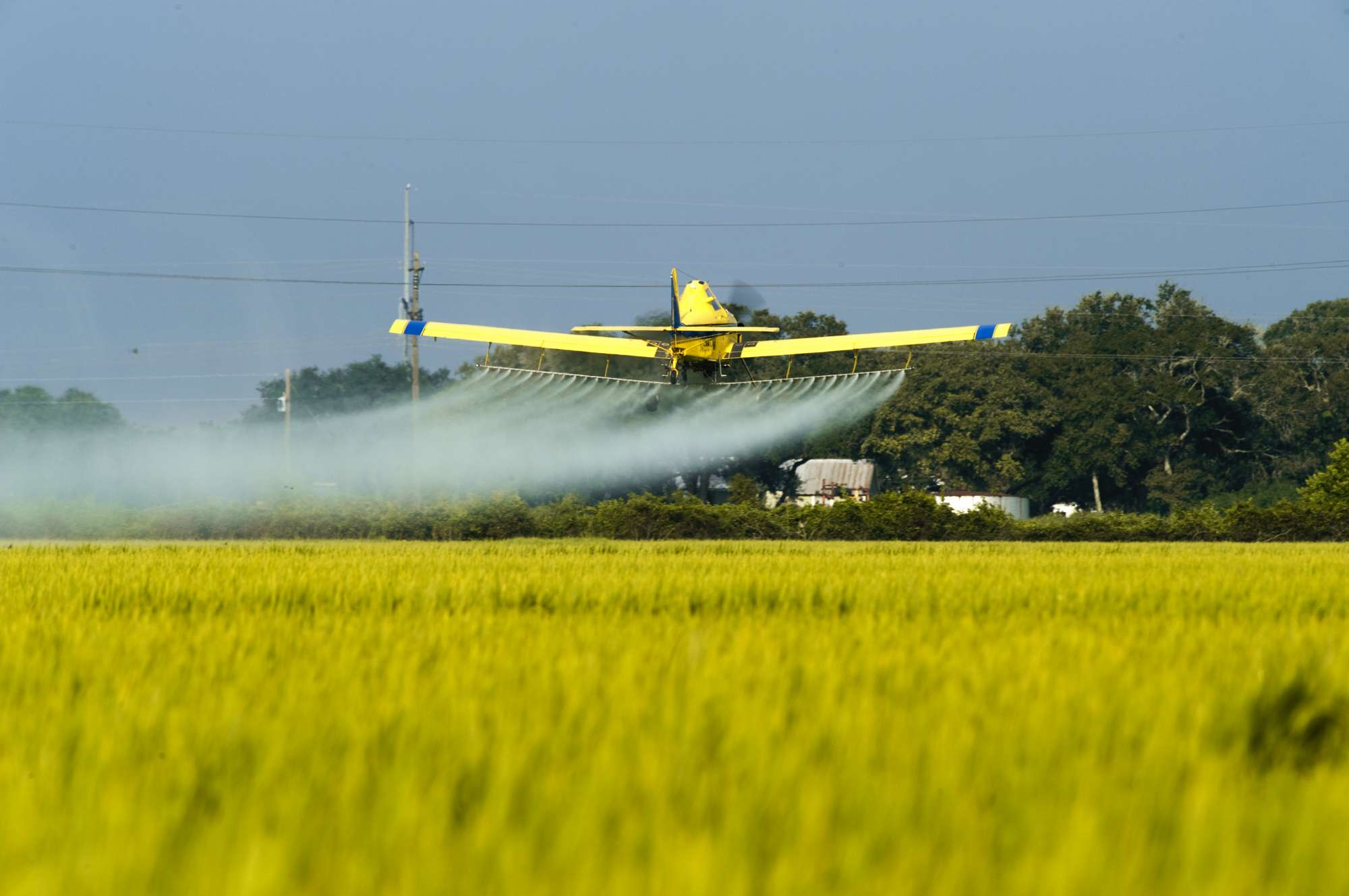 Обработка полей пестицидами. Сельскохозяйственный самолет. Самолет для опрыскивания полей. Распыление химикатов.