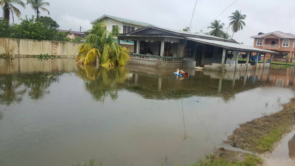 200 homes flooded in Canal No.1, CDC issues flood warning – News Room ...