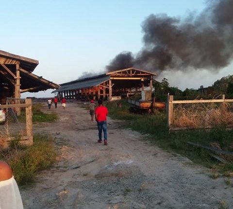 Essequibo Sawmill Destroyed By Fire – News Room Guyana