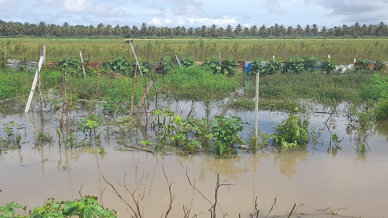 Rainy season expected to last until August; Reg. 5 recorded most ...