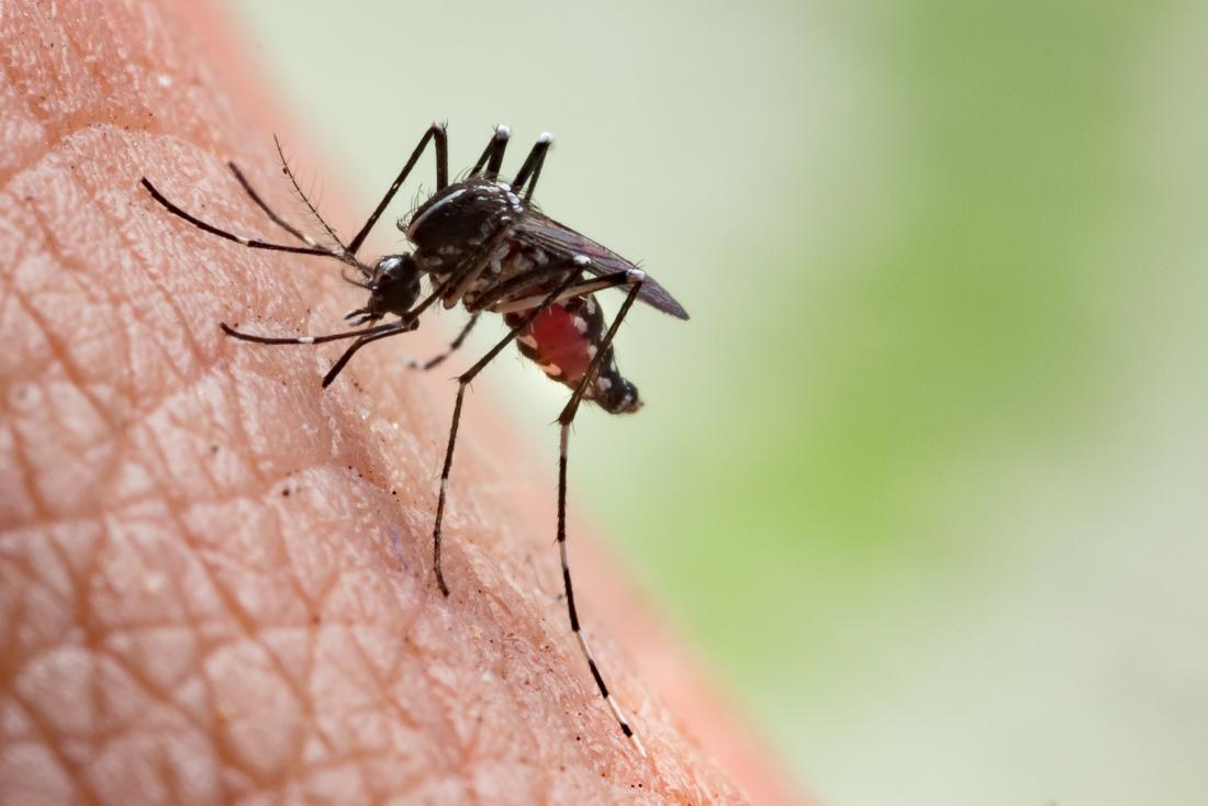 U.S assisting Guyana in fight against Malaria