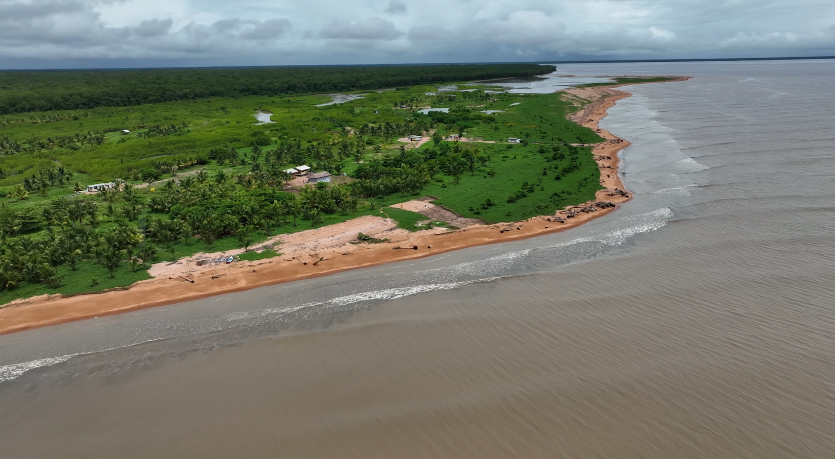 UG’s Berbice Campus launches institute to advance research in marine, riverine ecosystems