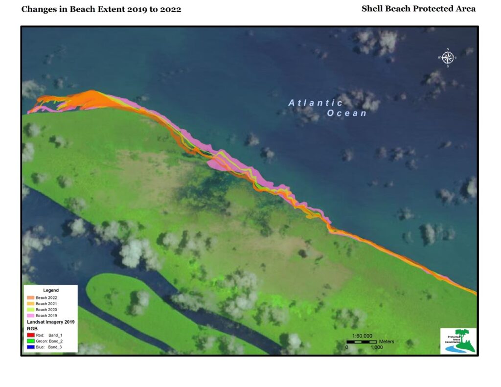 Almond Beach in Guyana's Shell Beach Protected Area hosts nesting grounds for four endangered sea turtle species that are at risk because of rising coastal erosion.
