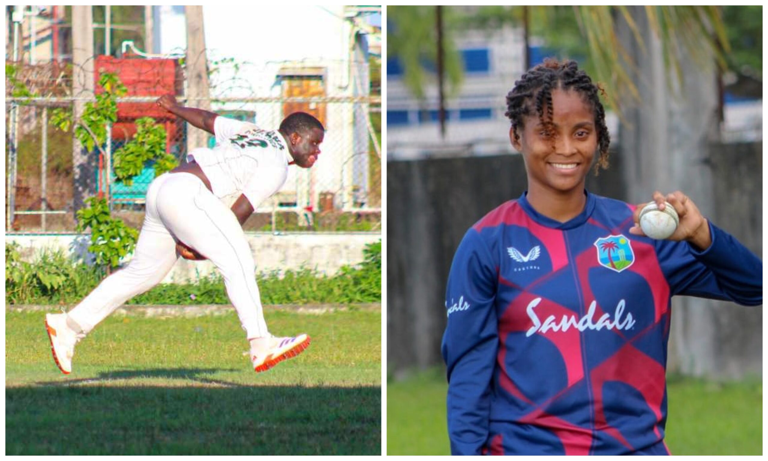 Jones and Schultz excel in GCA Second Division Two-Day cricket