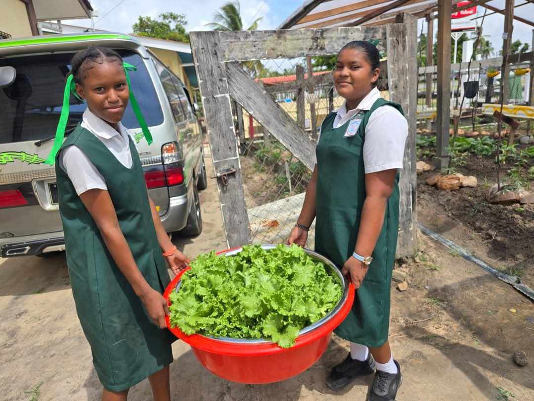 Sowing the Seeds of Success: Johanna Cecilia Secondary’s agricultural project empowers young entrepreneurs