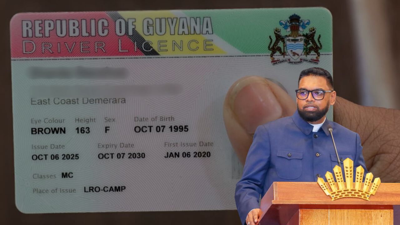 Six weeks to correct licence violations – President Ali warns drivers