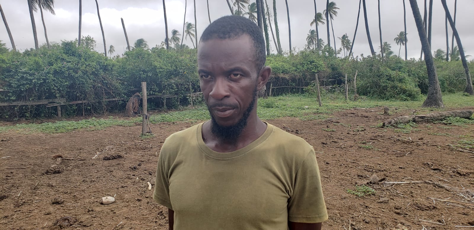 Farmer worried as cows worth millions go missing 