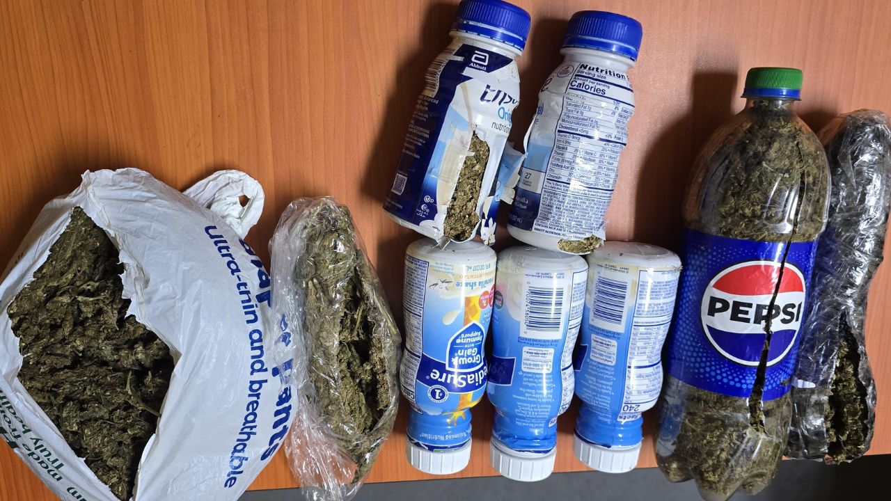 513 grams of ganja found at New Amsterdam Prison