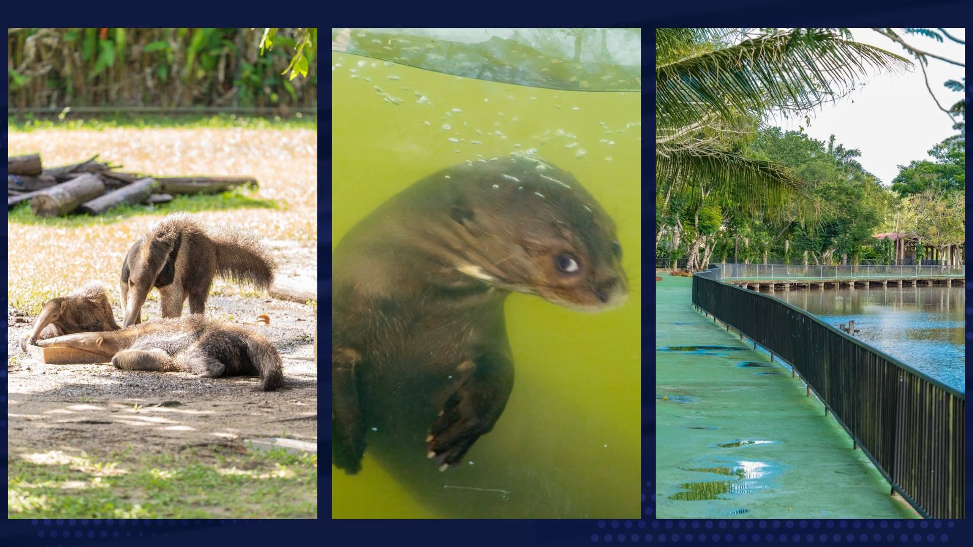 Hyde Park Zoo to open on March 3