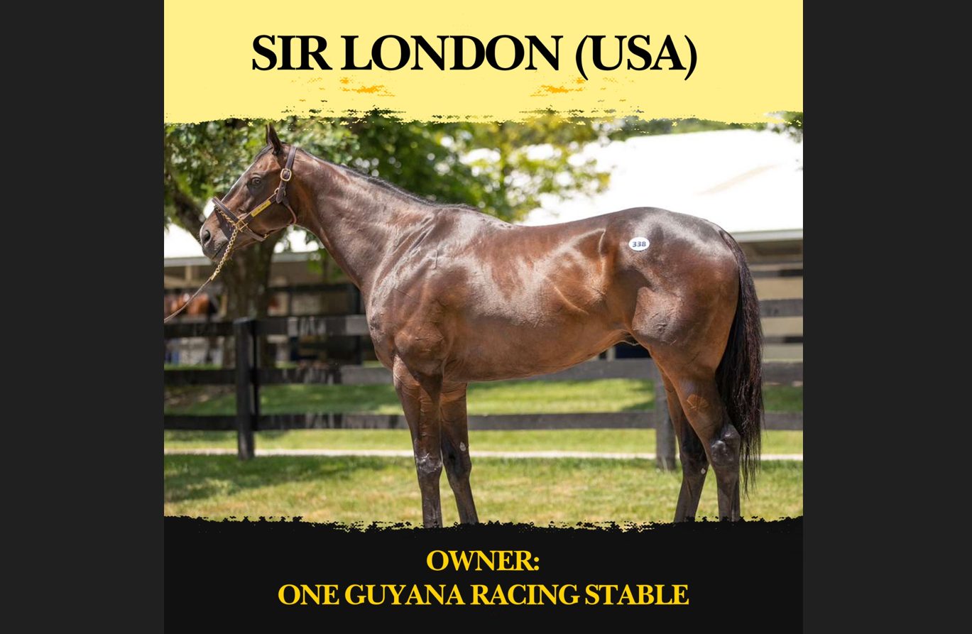 Sir London of One Guyana Racing Stable to debut at Pegasus Day this weekend