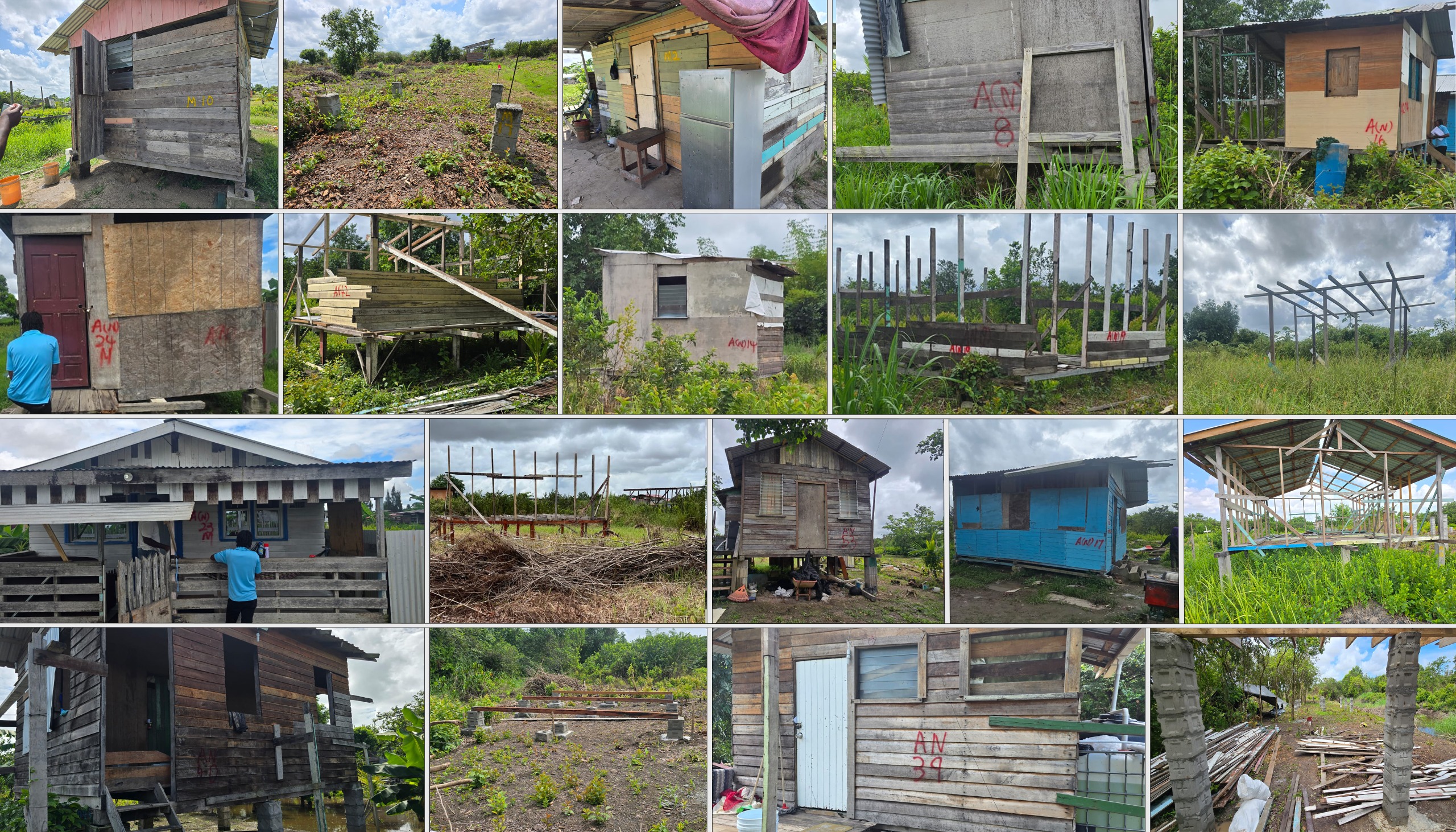 From uncertainty to opportunity: How regularisation and infrastructure are transforming Mocha